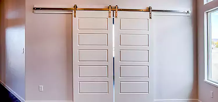 Glass Barn Door with Installation Hardware Kit Dothan